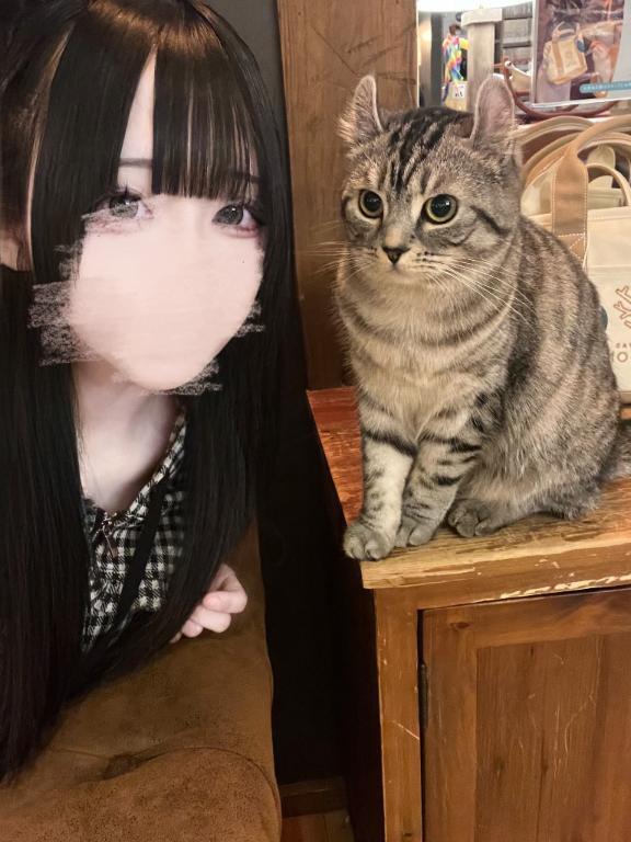 癒し…♡｜写メ日記｜あむ★恋人感◎甘えん坊清楚JD｜品川・五反田 一般デリヘル 五反田Tiara～ティアラ～
