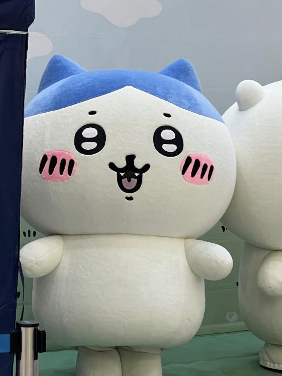 ぷぷ｜写メ日記｜あむ★恋人感◎甘えん坊清楚JD｜品川・五反田 一般デリヘル 五反田Tiara～ティアラ～