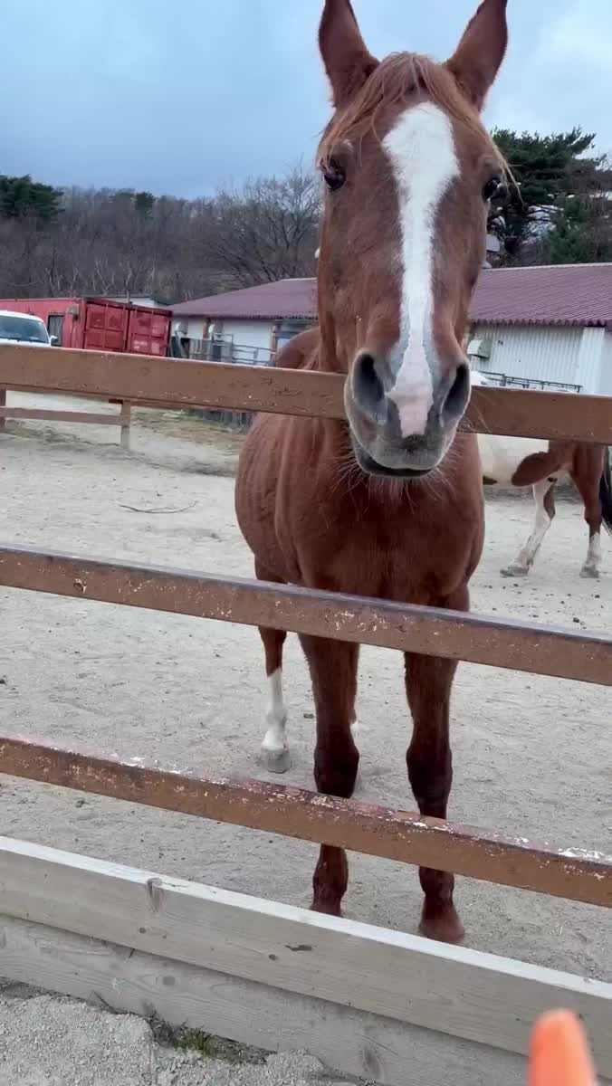 １ヶ月ぶり🥹✨｜写メ日記｜いと★SSS級都内最高峰★｜品川・五反田 一般デリヘル 五反田Tiara～ティアラ～