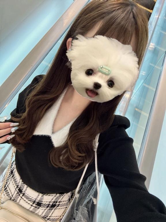 出勤♡｜写メ日記｜うゆ★純真無垢な乃木坂系美少女｜品川・五反田 一般デリヘル 五反田Tiara～ティアラ～