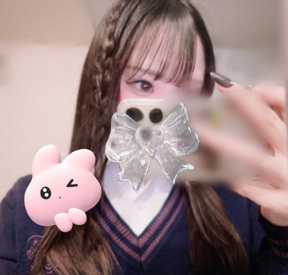 しゅきんでした