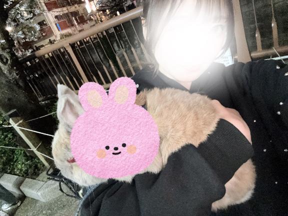 🐰｜写メ日記｜あこ★S級ロリ巨乳！奇跡の原石｜品川・五反田 一般デリヘル 五反田Tiara～ティアラ～