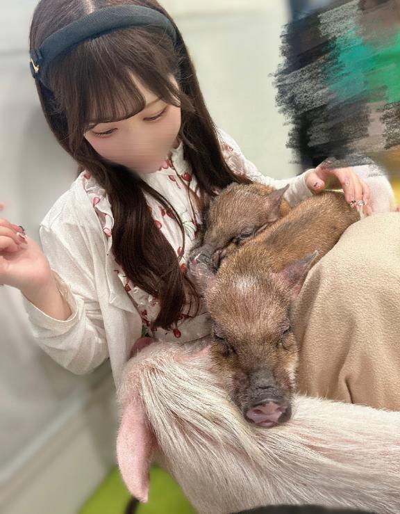 みてぶた🐷