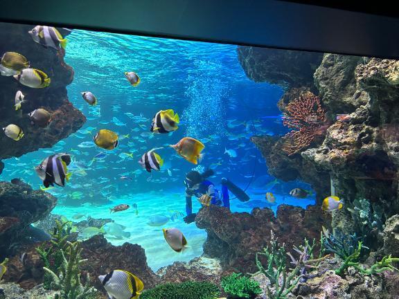 ♡お友達とでーと♡｜写メ日記｜りりあ★男性経験1人純真美少女｜品川・五反田 一般デリヘル 五反田Tiara～ティアラ～