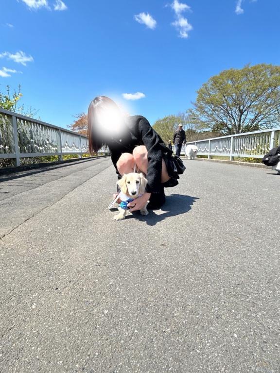 おしえてくだぱい✌🏻︎ᴖ ̫ᴖ✌🏻︎🎶｜写メ日記｜るか★容姿端麗超キス好き美少女｜品川・五反田 一般デリヘル 五反田Tiara～ティアラ～