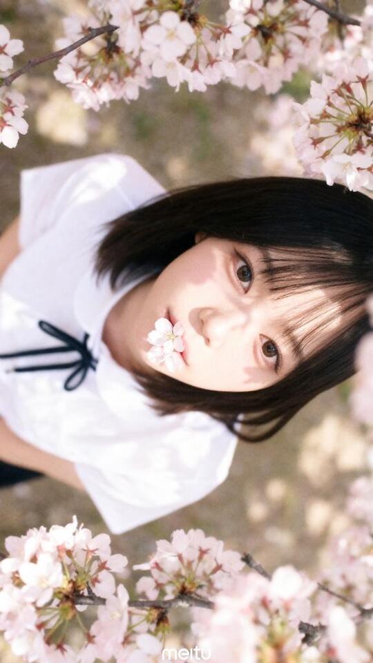 好きが咲いた🌸♡｜写メ日記｜あおい★未経験×Fカップ美少女｜品川・五反田 一般デリヘル 五反田Tiara～ティアラ～