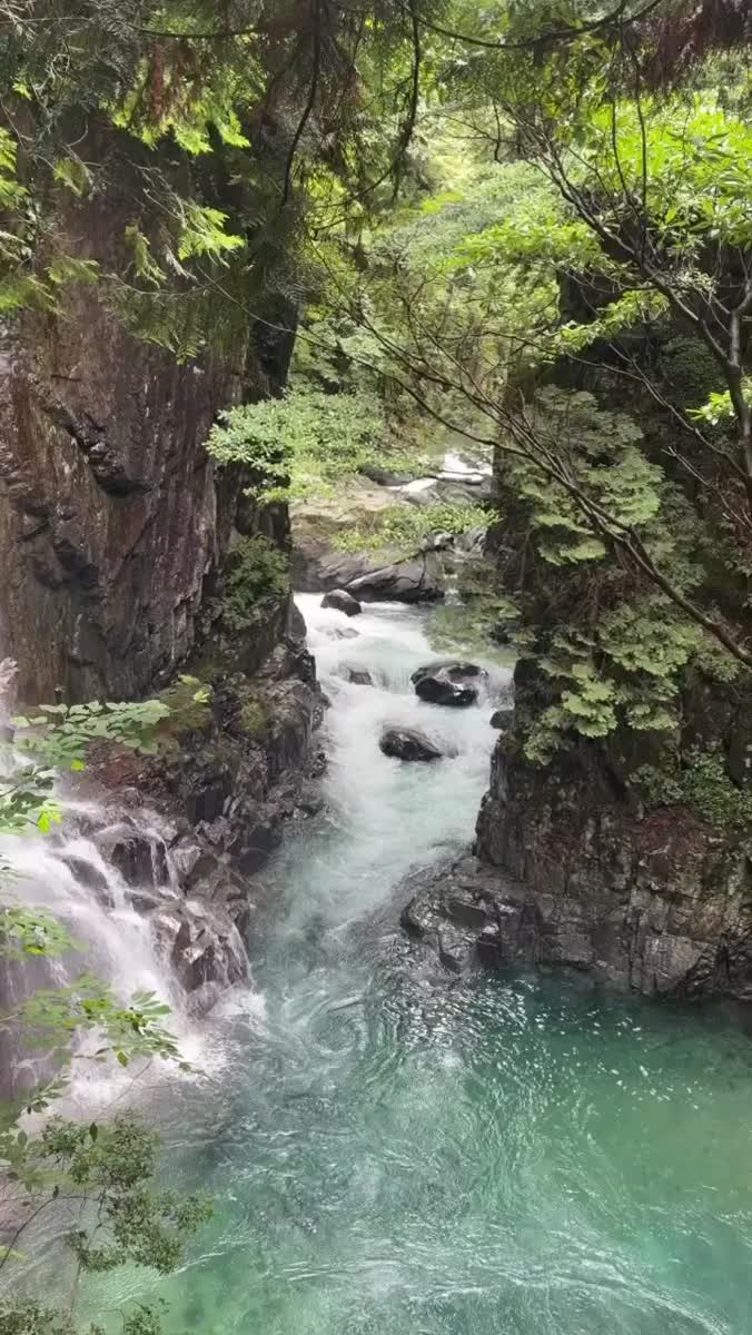 夏休み🌼｜写メ日記｜しゅり★S級未経験奇跡の原石｜品川・五反田 一般デリヘル 五反田Tiara～ティアラ～