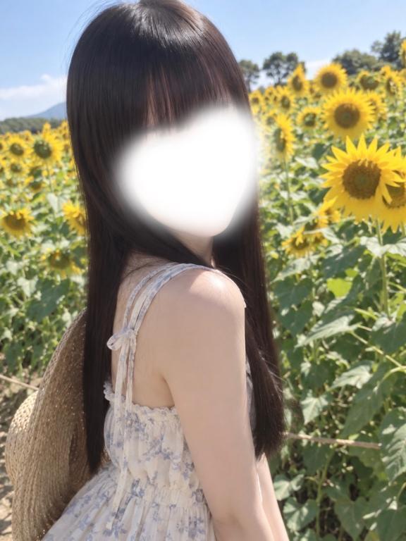 ひまわり畑🌻｜写メ日記｜みあ★完未×王道アイドル系JD｜品川・五反田 一般デリヘル 五反田Tiara～ティアラ～