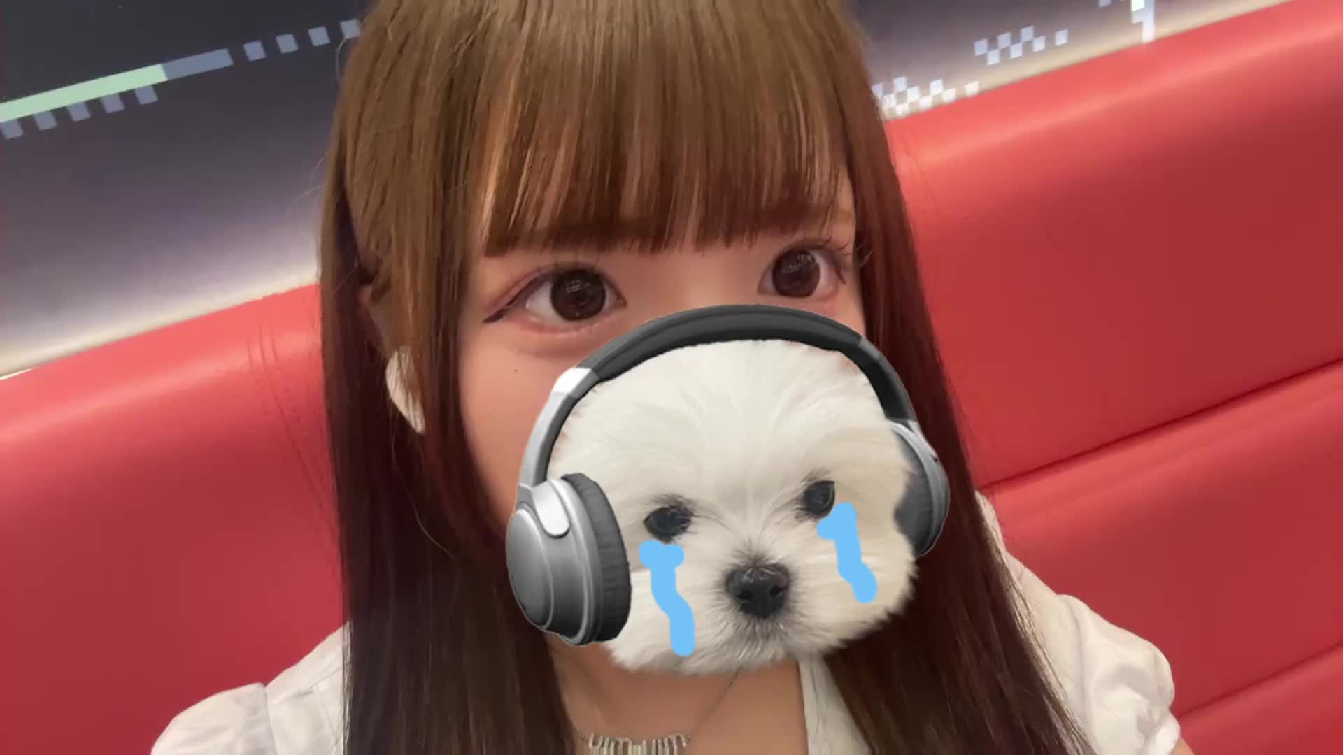 ぱちり📷✨