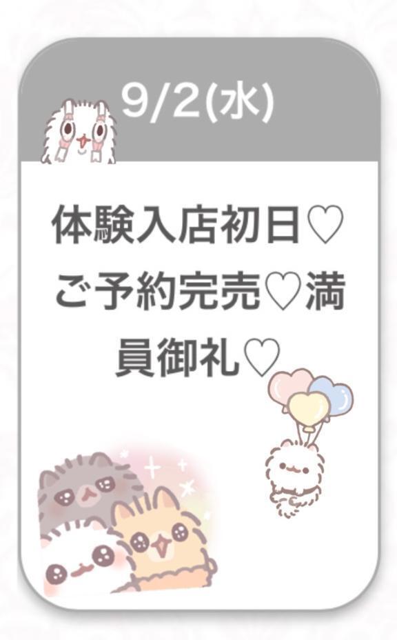 ありがとうございました😿💕💕🙏🏻｜写メ日記｜さやか★未経験坂道系激カワ素人｜品川・五反田 一般デリヘル 五反田Tiara～ティアラ～