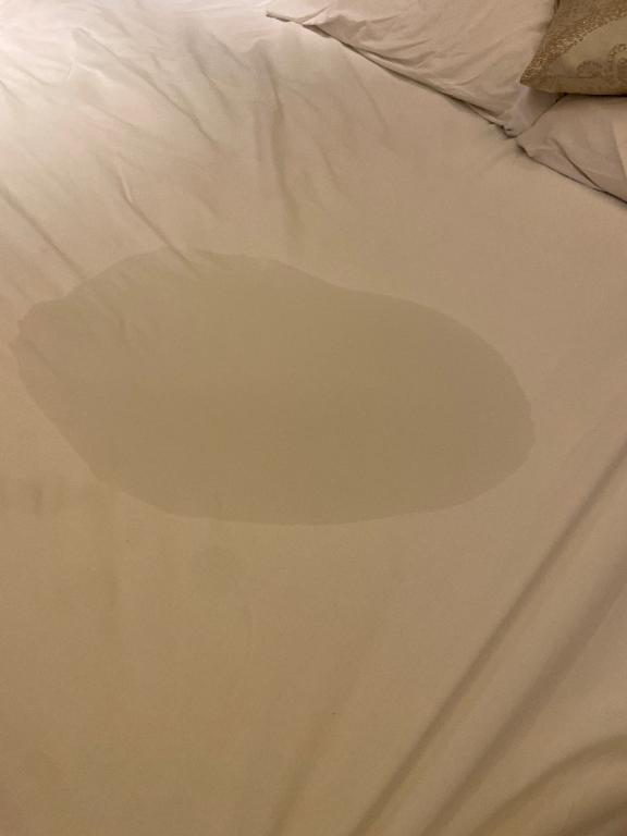 🐳💦｜写メ日記｜れん★モデル顔負け最高級素人★｜品川・五反田 一般デリヘル 五反田Tiara～ティアラ～