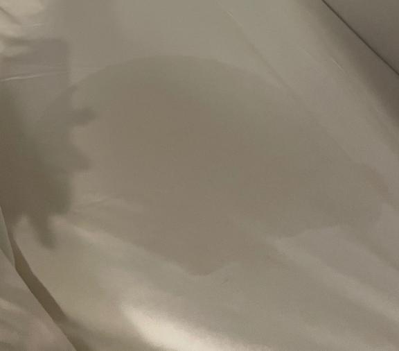 スタートからありがとう🐳｜写メ日記｜れん★モデル顔負け最高級素人★｜品川・五反田 一般デリヘル 五反田Tiara～ティアラ～