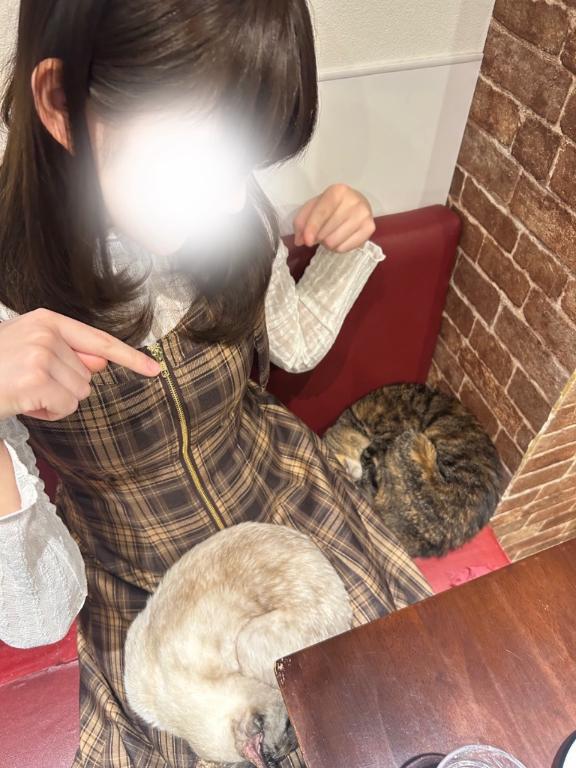 🐱💤｜写メ日記｜なな★完未！敏感すぎる現役JD｜品川・五反田 一般デリヘル 五反田Tiara～ティアラ～
