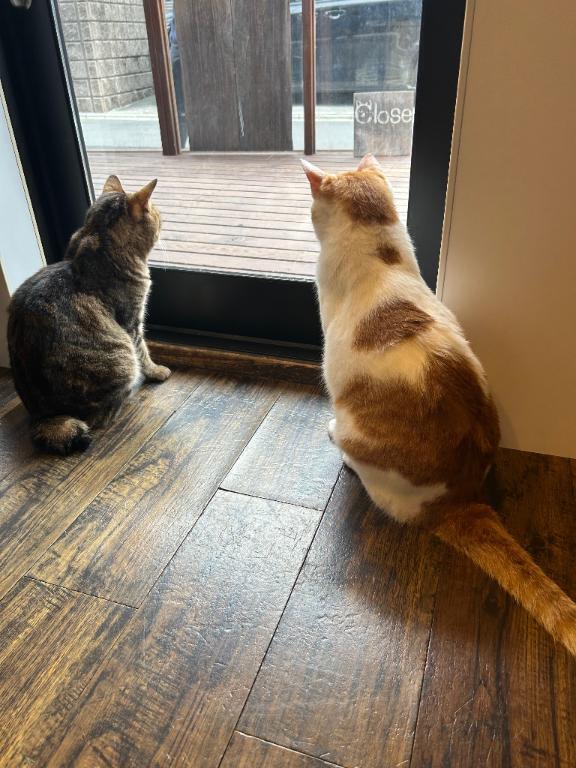 🙇🏻‍♀️‎🤍｜写メ日記｜なな★完未！敏感すぎる現役JD｜品川・五反田 一般デリヘル 五反田Tiara～ティアラ～