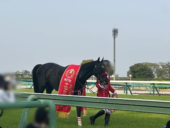 念願の…｜写メ日記｜ひめな★伝説！爆乳H乳現役JD｜品川・五反田 一般デリヘル 五反田Tiara～ティアラ～