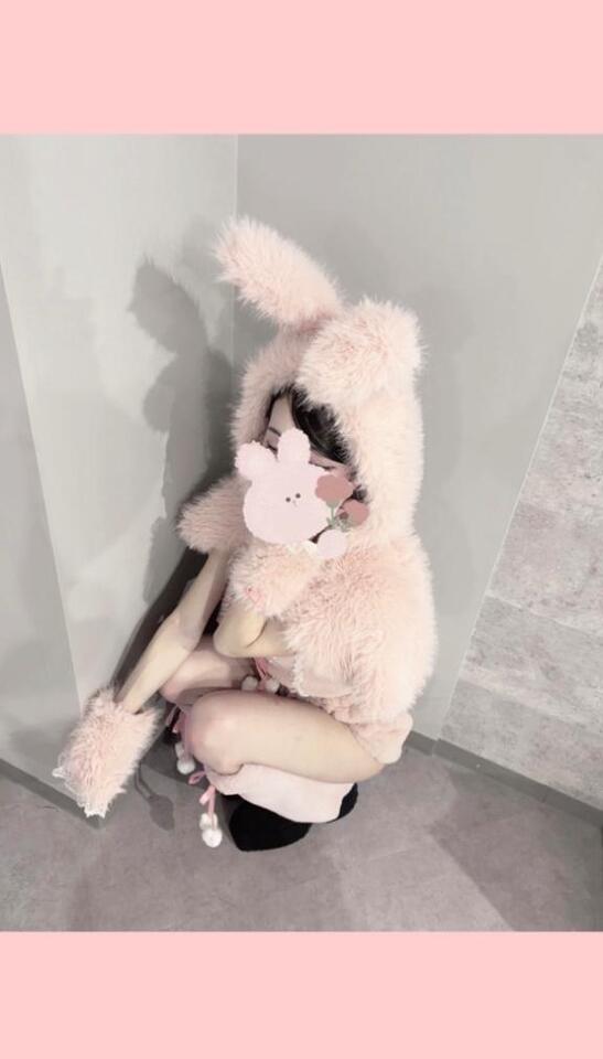 🐰