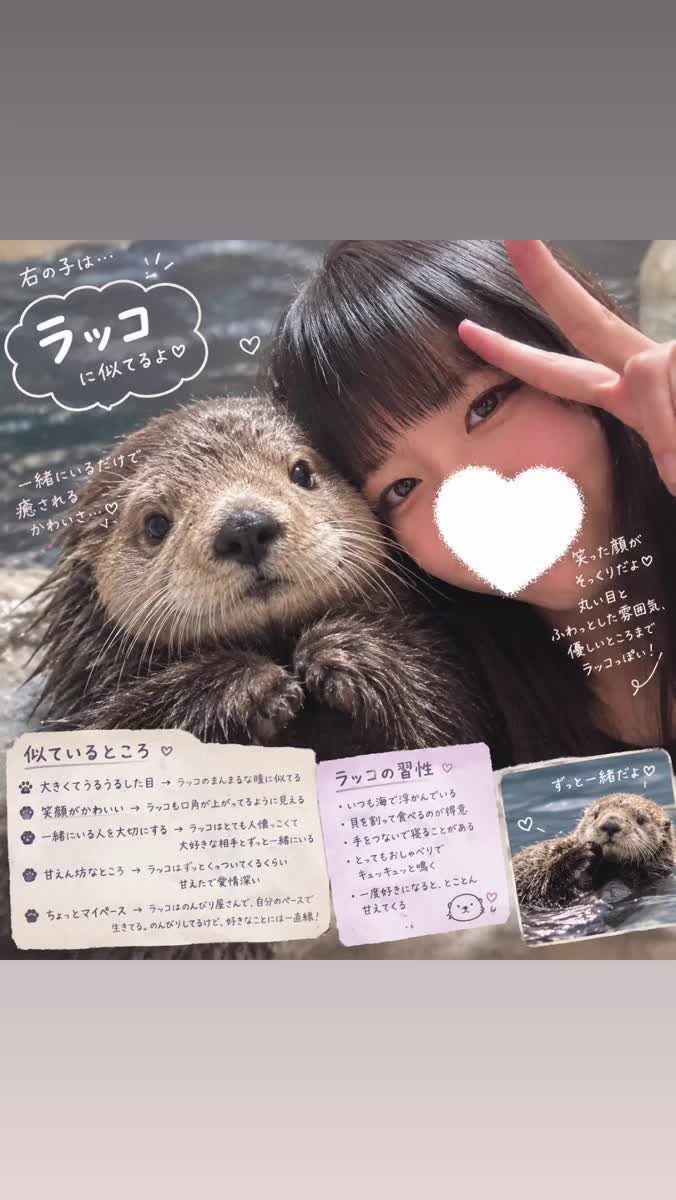 らっこさん🦦ꕀ