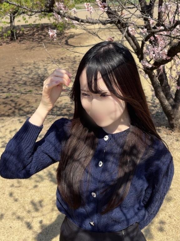 急遽明日💦｜写メ日記｜はれい★乃木坂系！名門大JD★｜品川・五反田 一般デリヘル 五反田Tiara～ティアラ～
