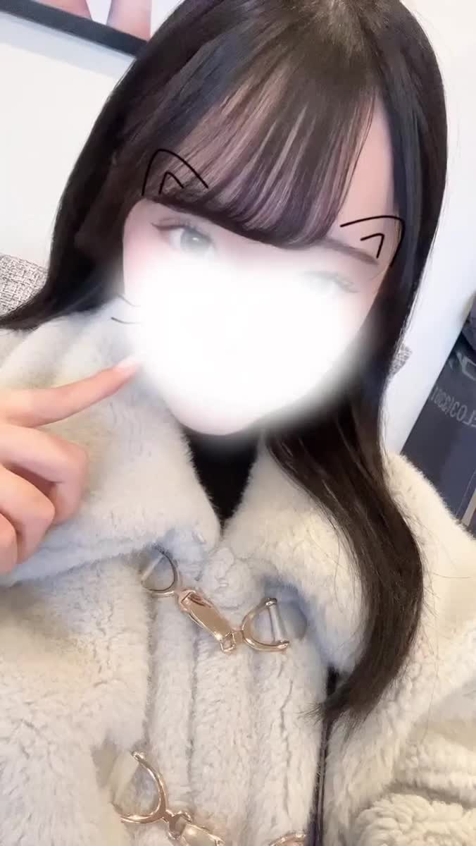 本日出勤🐱