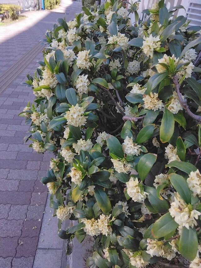 9日(月)夜も‥💓｜写メ日記｜浜中｜鶯谷 人妻デリヘル 鶯谷・上野ＣＬＵＢ Ａ(クラブエー)