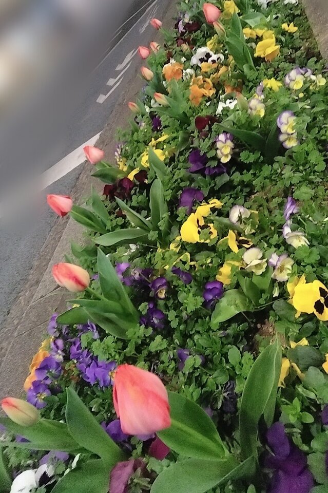 おはようございます🌷♡