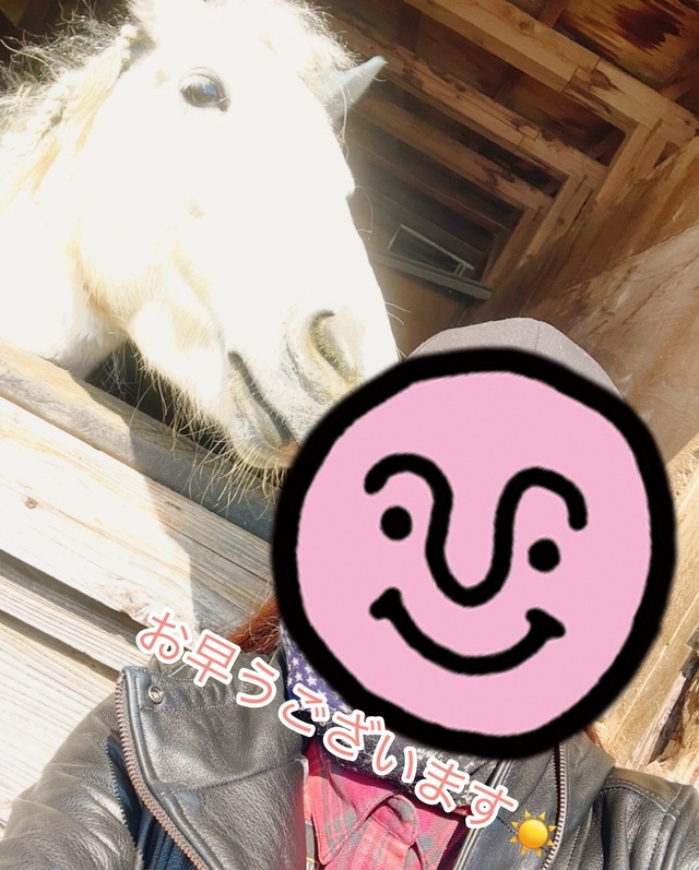 🐴🐴🐴｜写メ日記｜矢口｜鶯谷 人妻デリヘル 鶯谷・上野ＣＬＵＢ Ａ(クラブエー)