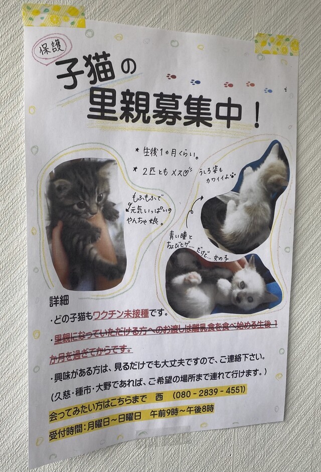 行くぜ！東北 ☆ ②｜写メ日記｜紺野｜鶯谷 人妻デリヘル 鶯谷・上野ＣＬＵＢ Ａ(クラブエー)