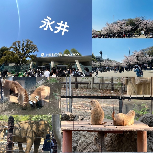 休日❤️｜写メ日記｜永井｜鶯谷 人妻デリヘル 鶯谷・上野ＣＬＵＢ Ａ(クラブエー)