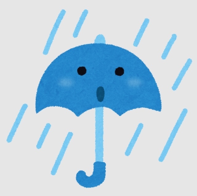 やはり雨です笑