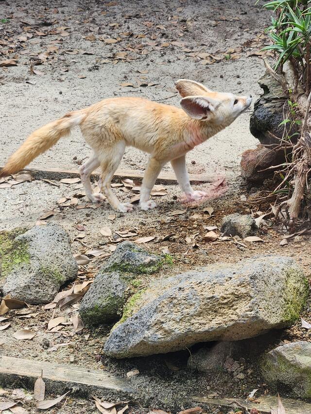 恐ろしや…