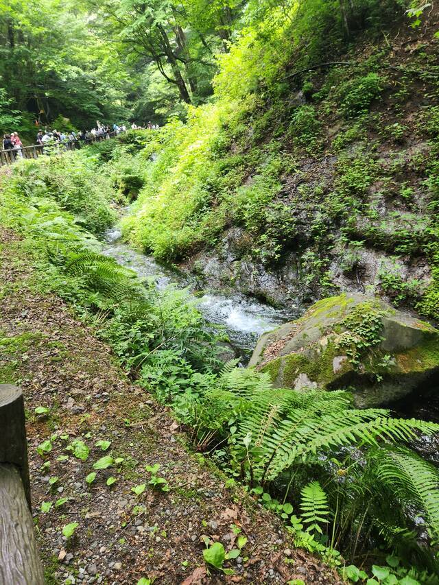 出勤予定の変更です。｜写メ日記｜真中｜鶯谷 人妻デリヘル 鶯谷・上野ＣＬＵＢ Ａ(クラブエー)