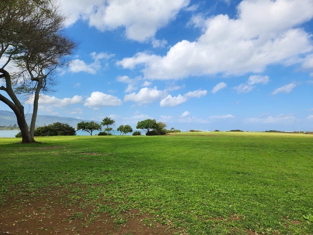 南の島から帰国✈️｜写メ日記｜真中｜鶯谷 人妻デリヘル 鶯谷・上野ＣＬＵＢ Ａ(クラブエー)