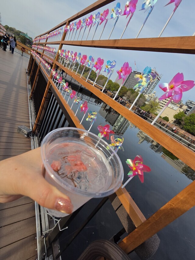 4月でございます🌸｜写メ日記｜真中｜鶯谷 人妻デリヘル 鶯谷・上野ＣＬＵＢ Ａ(クラブエー)