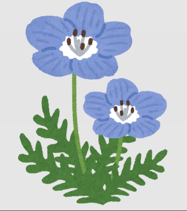 おはようございます！｜写メ日記｜真中｜鶯谷 人妻デリヘル 鶯谷・上野ＣＬＵＢ Ａ(クラブエー)