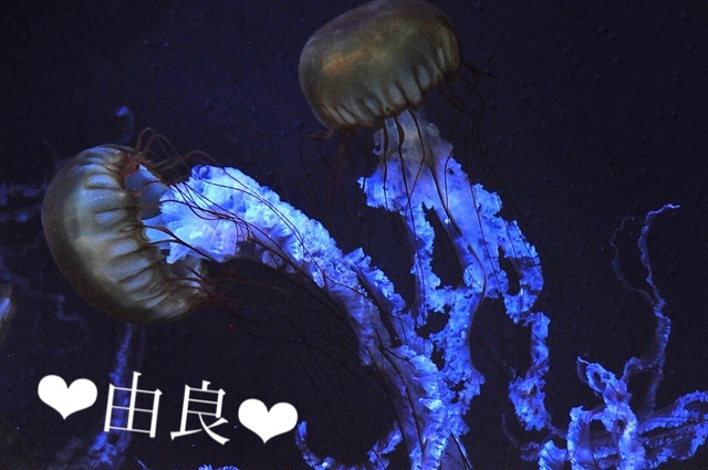 〜本日18時〜｜写メ日記｜由良｜鶯谷 人妻デリヘル 鶯谷・上野ＣＬＵＢ Ａ(クラブエー)