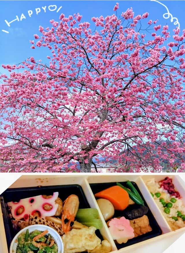 小さなお花見気分🌸