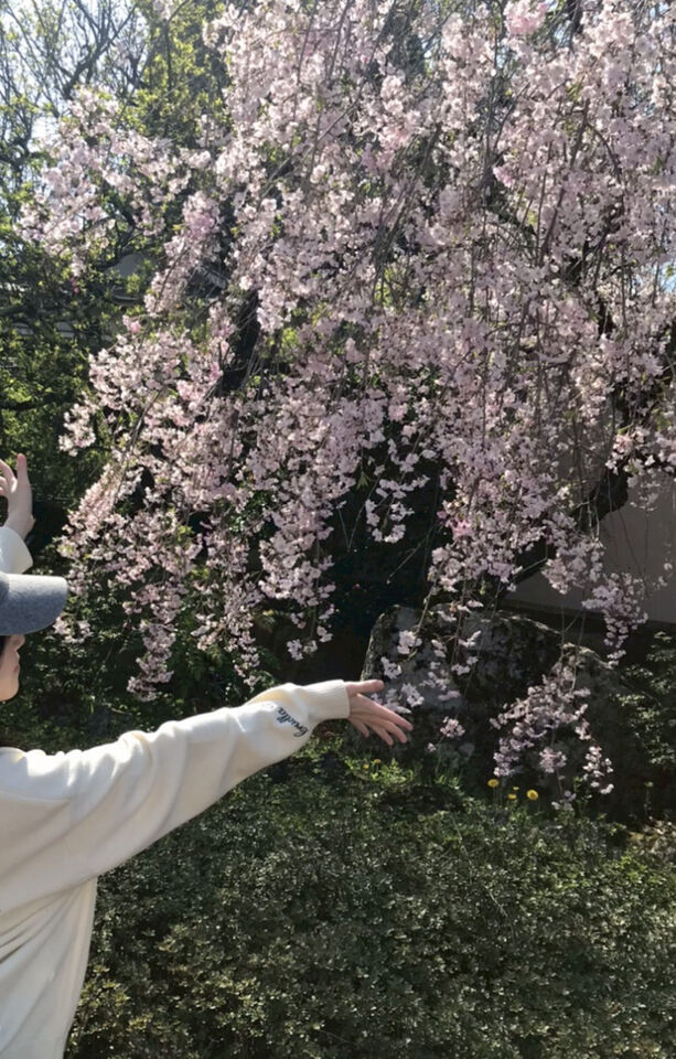 お初❣️｜写メ日記｜西野｜鶯谷 人妻デリヘル 鶯谷・上野ＣＬＵＢ Ａ(クラブエー)