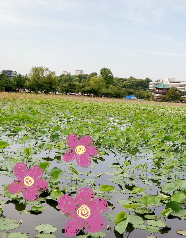 短くても旬を愛でたい｜写メ日記｜青山｜鶯谷 人妻デリヘル 鶯谷・上野ＣＬＵＢ Ａ(クラブエー)