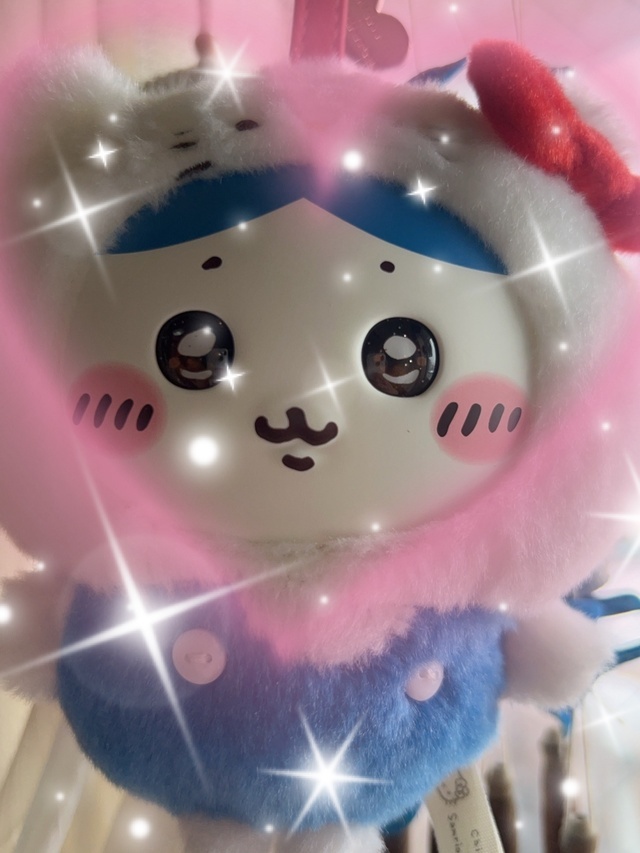 本日もご本指名の殿方様方🩷