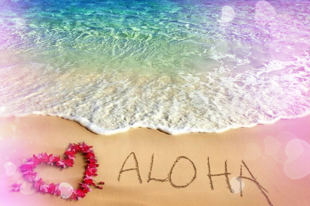 心を込めて🥰｜写メ日記｜海理｜鶯谷 人妻デリヘル 鶯谷・上野ＣＬＵＢ Ａ(クラブエー)