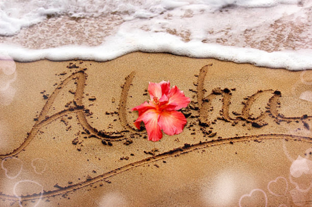 心を込めて🥰｜写メ日記｜海理｜鶯谷 人妻デリヘル 鶯谷・上野ＣＬＵＢ Ａ(クラブエー)