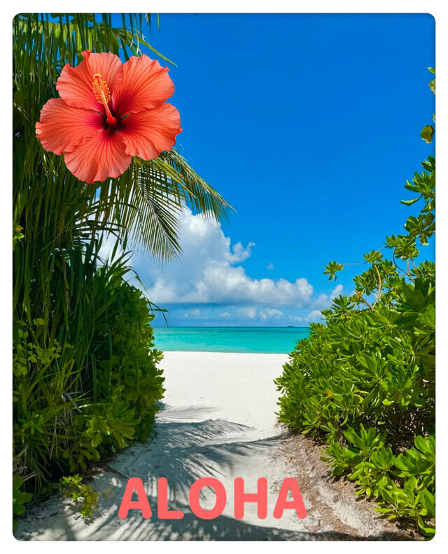 お知らせです🥰｜写メ日記｜海理｜鶯谷 人妻デリヘル 鶯谷・上野ＣＬＵＢ Ａ(クラブエー)