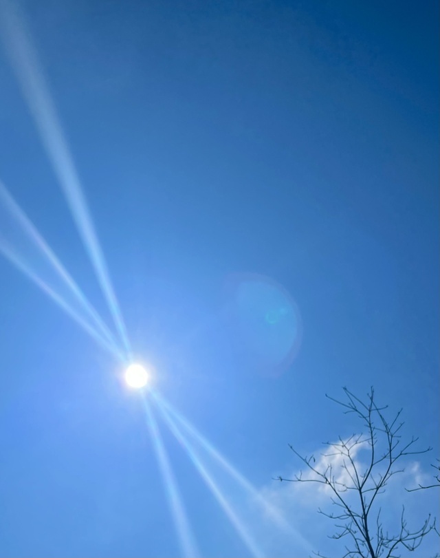おはようございます