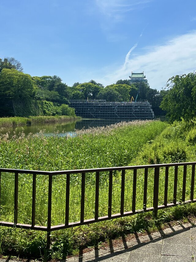 おはようございます｜写メ日記｜川崎｜鶯谷 人妻デリヘル あなたに逢いたくて