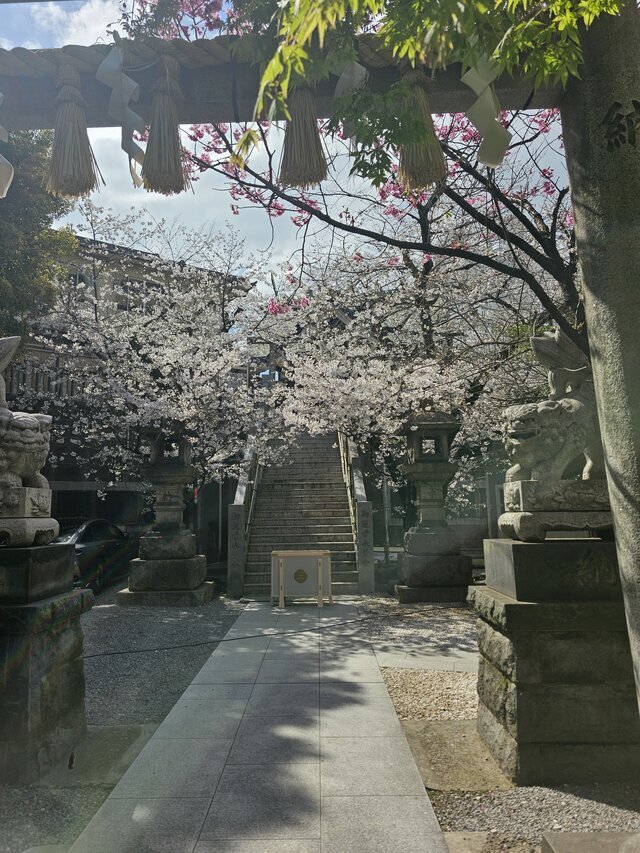 今日もありがとうございました♥