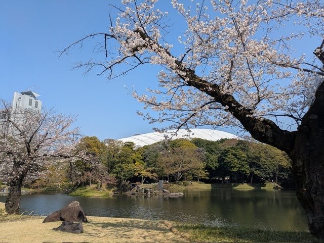 🎀お礼　ストーリー　Oさん