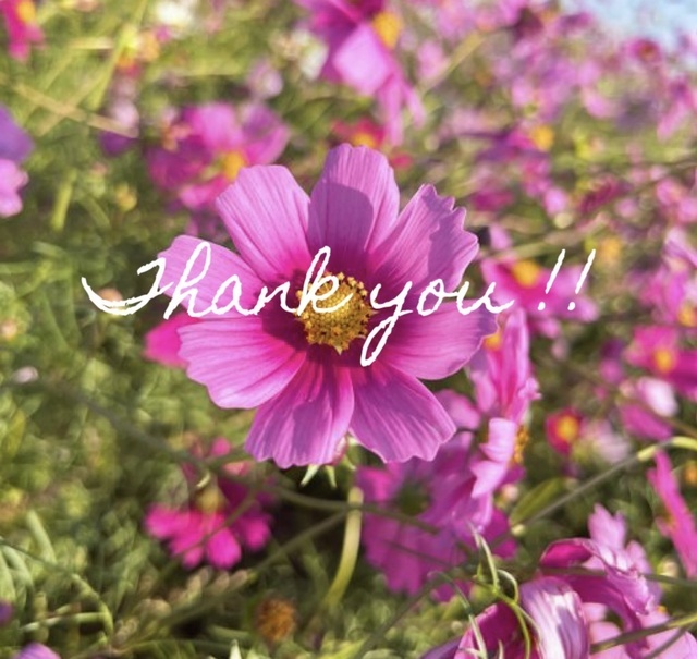 お礼🩵｜写メ日記｜川村｜鶯谷 人妻デリヘル あなたに逢いたくて