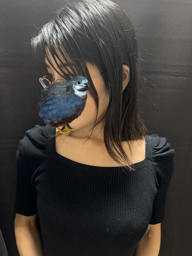 本日体験入店です😊｜写メ日記｜立花｜鶯谷 人妻デリヘル あなたに逢いたくて