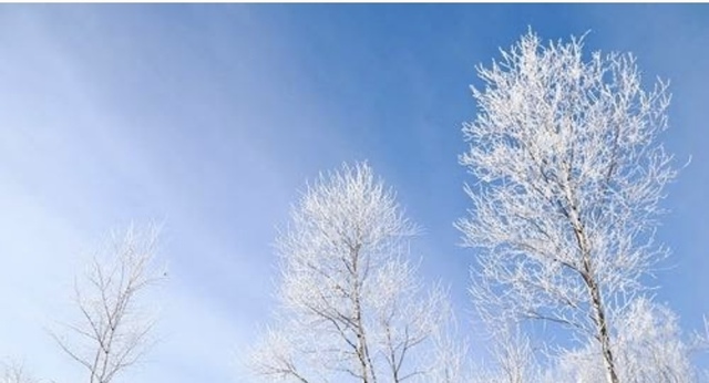 君島です！｜写メ日記｜君島｜鶯谷 人妻デリヘル あなたに逢いたくて