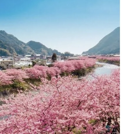 君島です｜写メ日記｜君島｜鶯谷 人妻デリヘル あなたに逢いたくて
